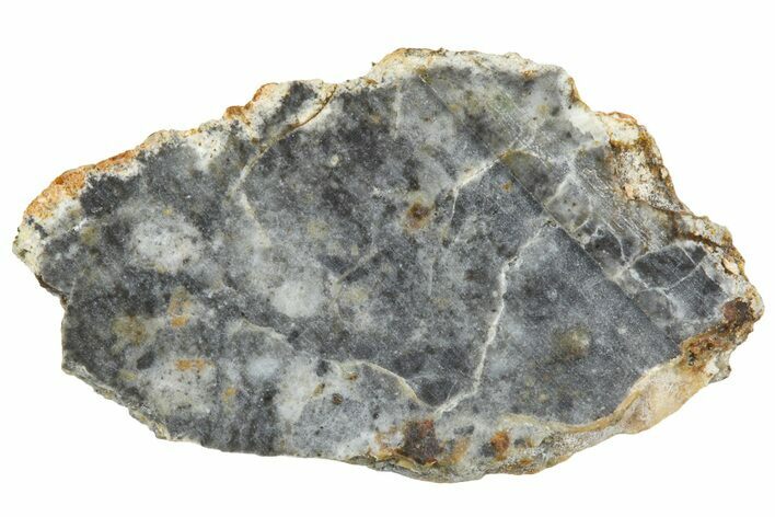 Lunar Meteorite ( g) Slice - Bechar #360553